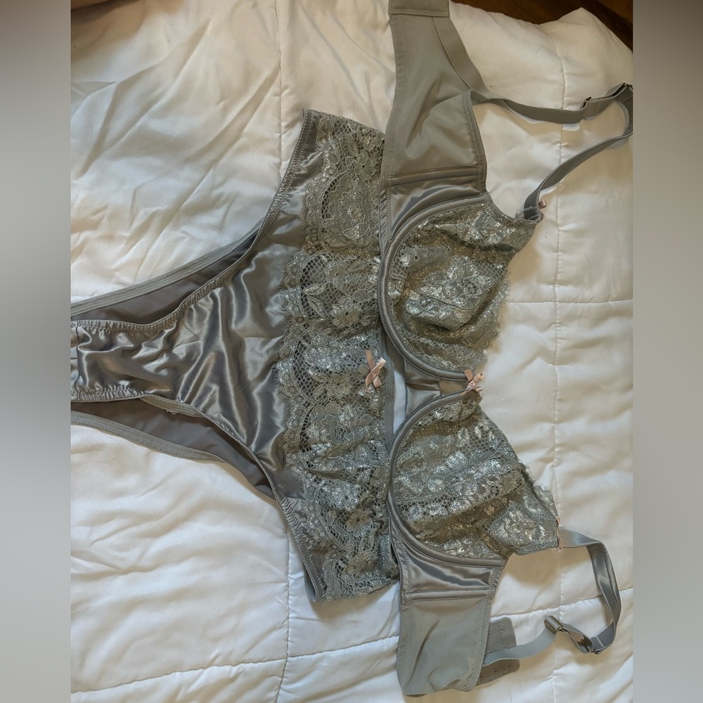 Silver silk bra and panty set. Barely worn!